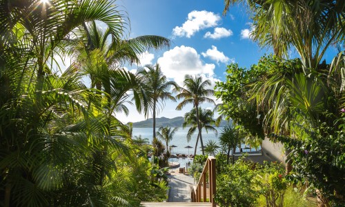 Christopher St Barth